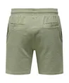ONLY & SONS Short Kian