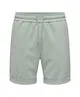 ONLY & SONS Short Newkodyl