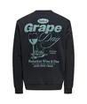 ONLY & SONS Sweater Alfresco