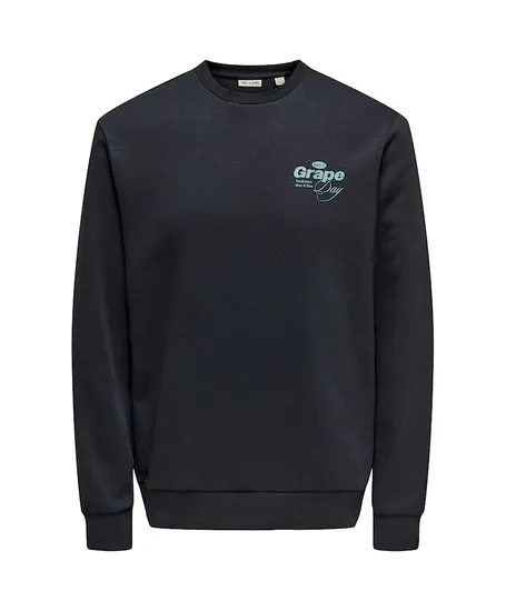 ONLY & SONS Sweater Alfresco