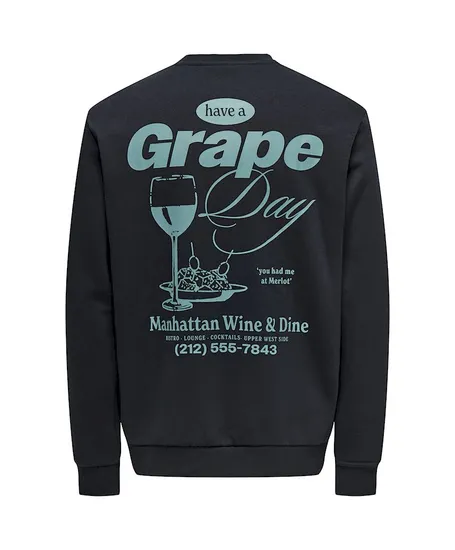 ONLY & SONS Sweater Alfresco