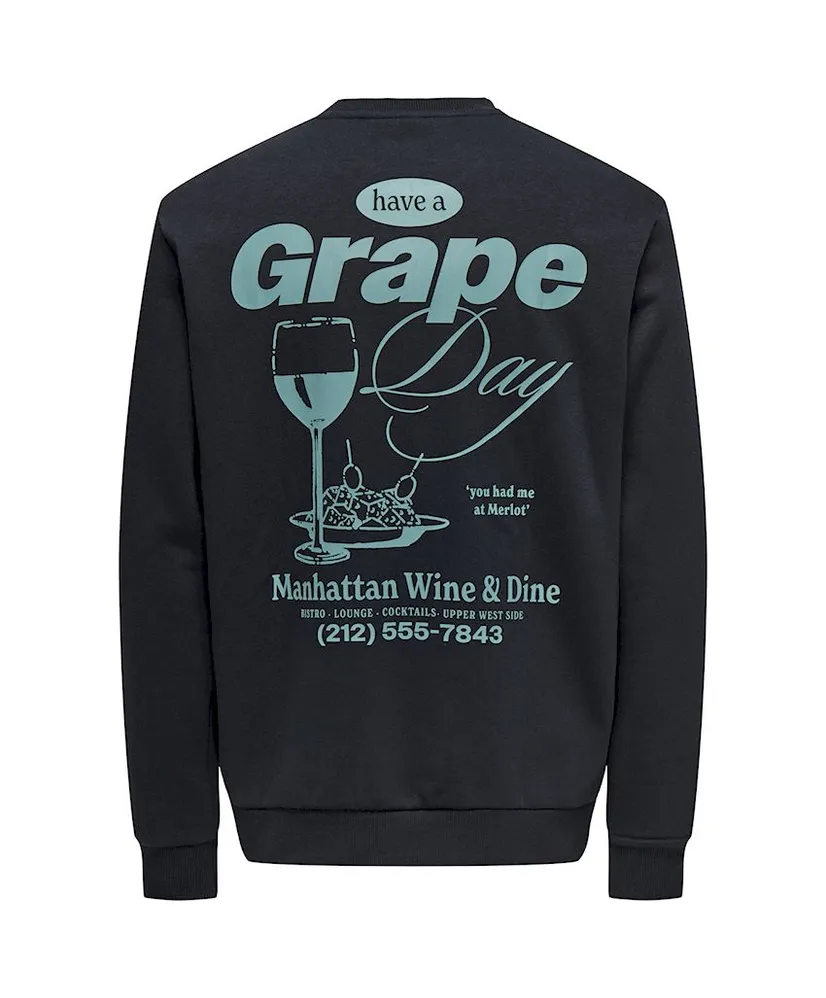 ONLY & SONS Sweater Alfresco