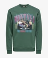 ONLY & SONS Sweater Ceres Monto