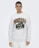 ONLY & SONS Sweater Ceres Monto