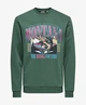 ONLY & SONS Sweater Ceres Monto