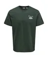 ONLY & SONS T-shirt Fred Osteria