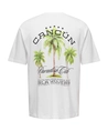ONLY & SONS T-shirt Keane