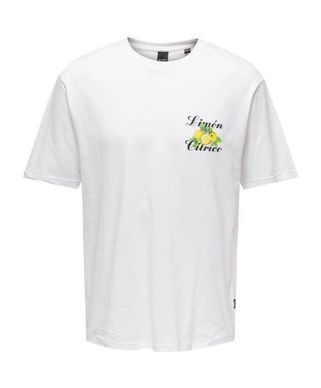 ONLY & SONS T-shirt Keane
