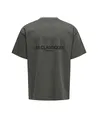 ONLY & SONS T-shirt Les Classiques