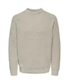 ONLY & SONS Trui Raglan