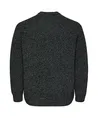 ONLY & SONS Trui Raglan