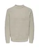 ONLY & SONS Trui Raglan