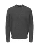 ONLY & SONS Trui Ray