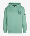 Petrol Industries Hoodie Backprint