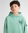 Petrol Industries Hoodie Backprint