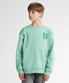 Petrol Industries Sweater Backprint