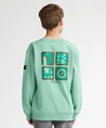 Petrol Industries Sweater Backprint