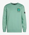 Petrol Industries Sweater Backprint