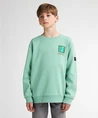 Petrol Industries Sweater Backprint