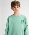 Petrol Industries Sweater Backprint