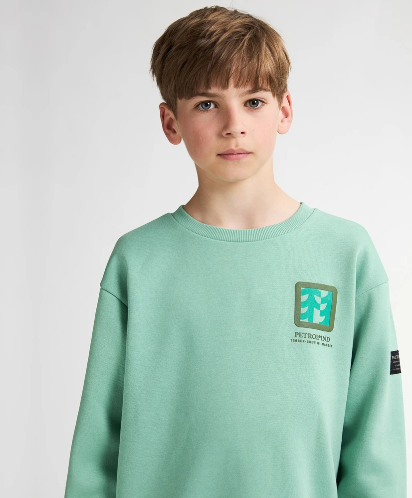 Petrol Industries Sweater Backprint