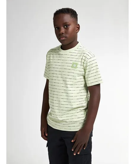 Petrol Industries T-shirt Strepen