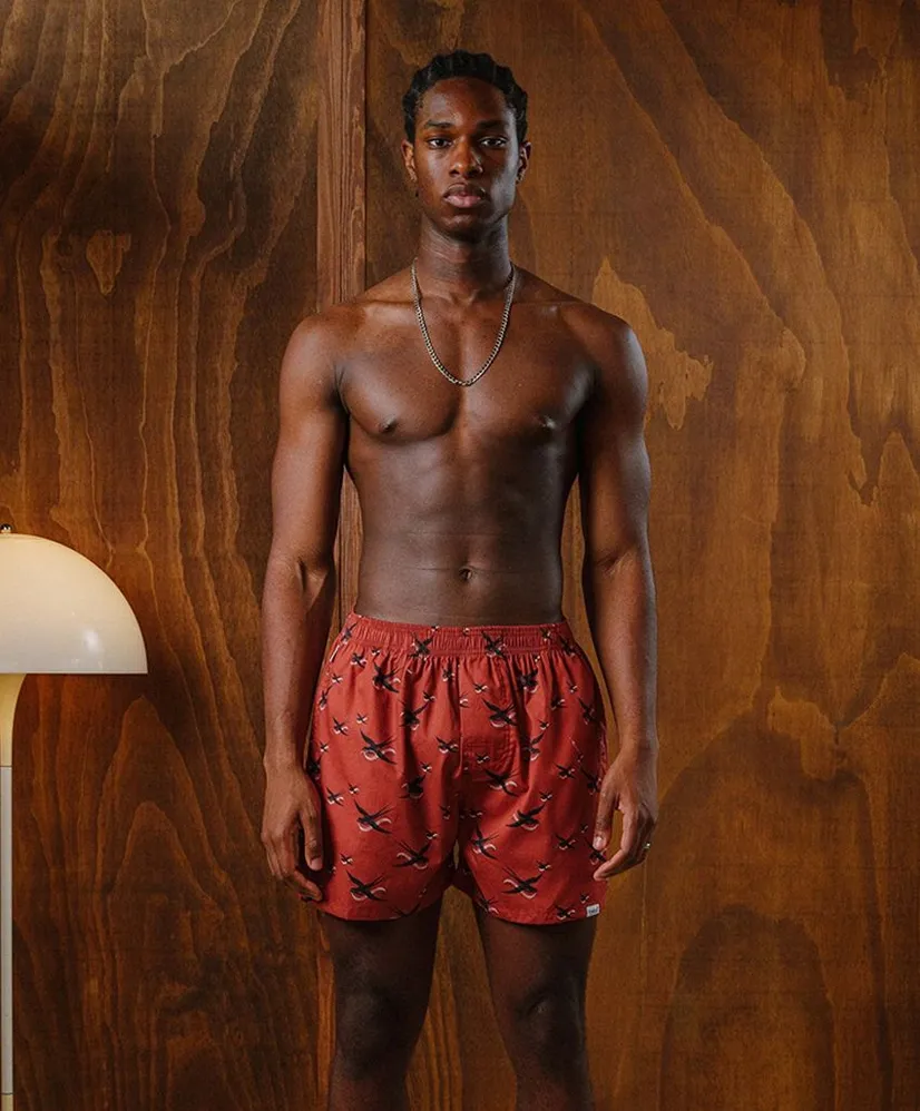Pockies Boxershort Swallow 2-Pack