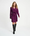 POM Amsterdam Mini Jurk Plum