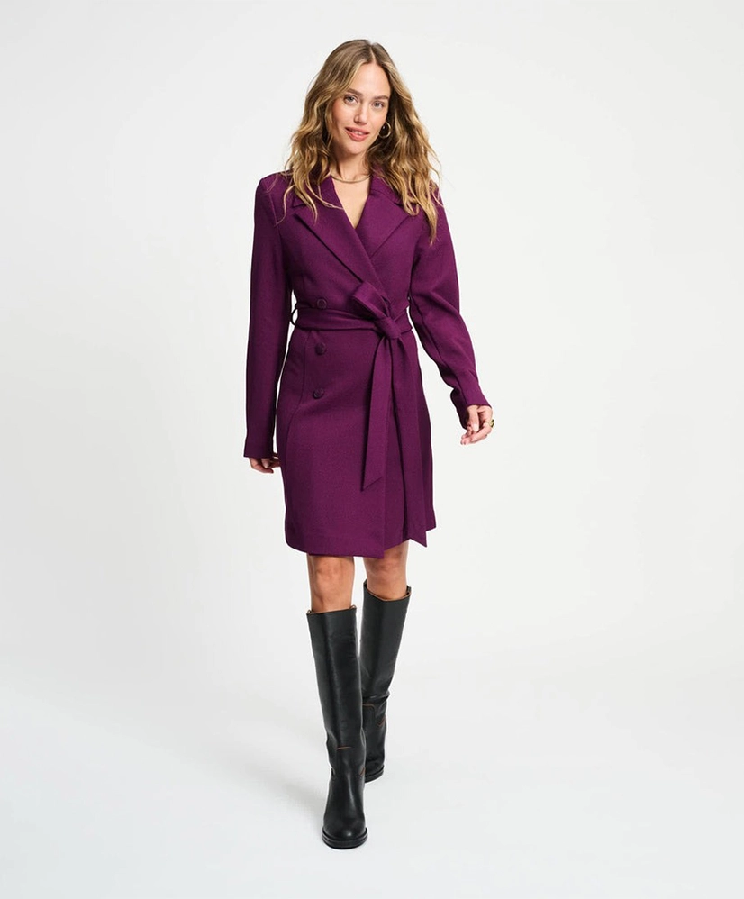 POM Amsterdam Mini Jurk Plum