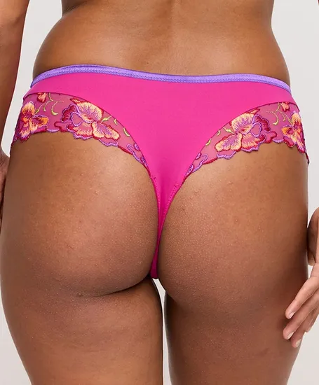 PrimaDonna String Devdaha