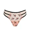 PrimaDonna String Eraclea