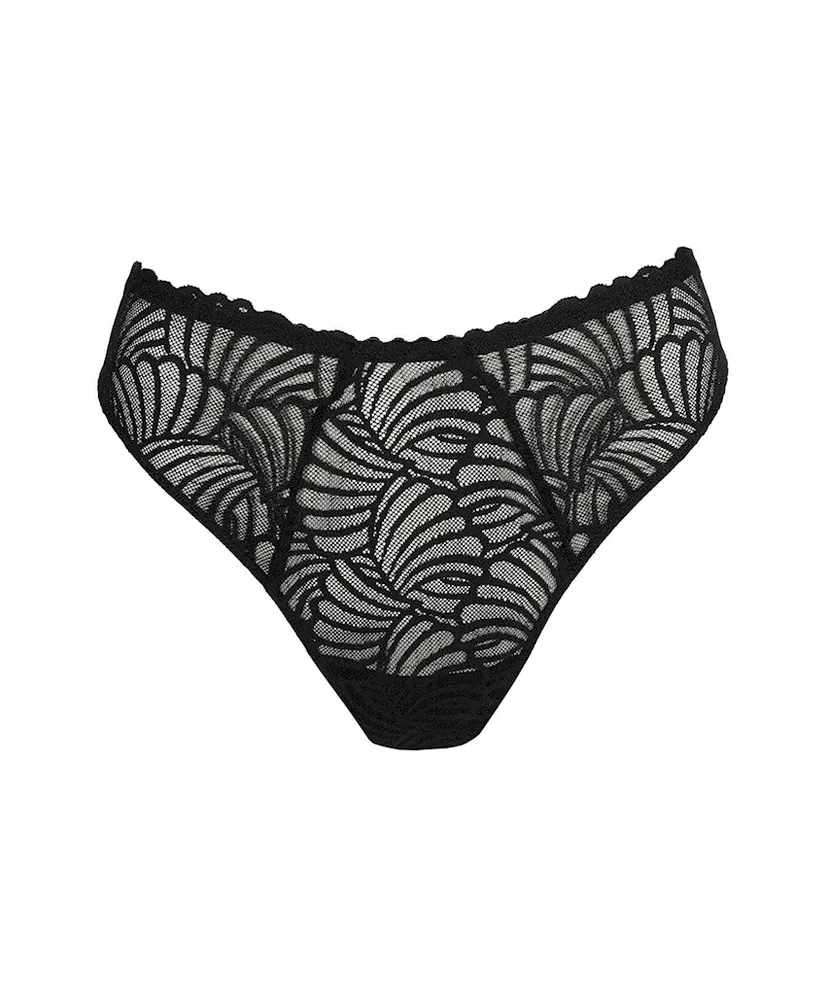 PrimaDonna String Gallipoli