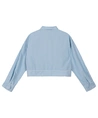 Refined Department Blouse Rosemary