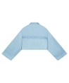 Refined Department Cropped Blouse Avery