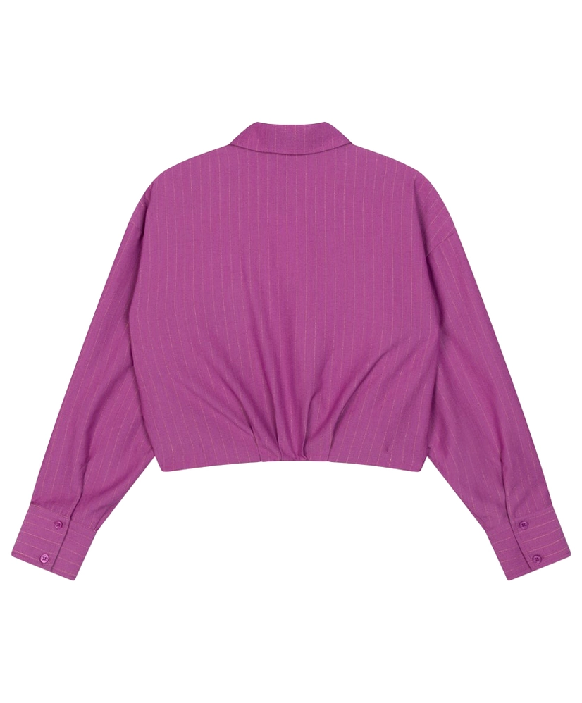 Refined Department Cropped Blouse Lyloe