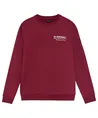 Rellix Sweater Backprint