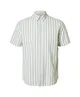 SELECTED HOMME Overhemd Classic Stripe