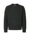 SELECTED HOMME Trui Neil
