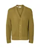 SELECTED HOMME Vest Dereck