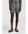 Shiwi Short Tony Starfish