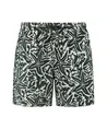Shiwi Short Tony Starfish