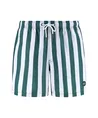 Shiwi Zwemshort Mike Broad Stripe