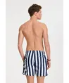 Shiwi Zwemshort Mike Broad Stripe