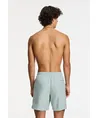 Shiwi Zwemshort Mike Solid