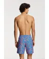 Shiwi Zwemshort Mike Starfish