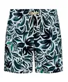 Shiwi Zwemshort Mike