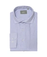 Signore Forte Overhemd Curtis Fine Stripe