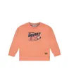 Stains & Stories Sweater Desert