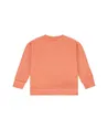 Stains & Stories Sweater Desert