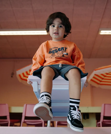Stains & Stories Sweater Desert